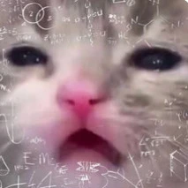 RANDOMCATLUVER