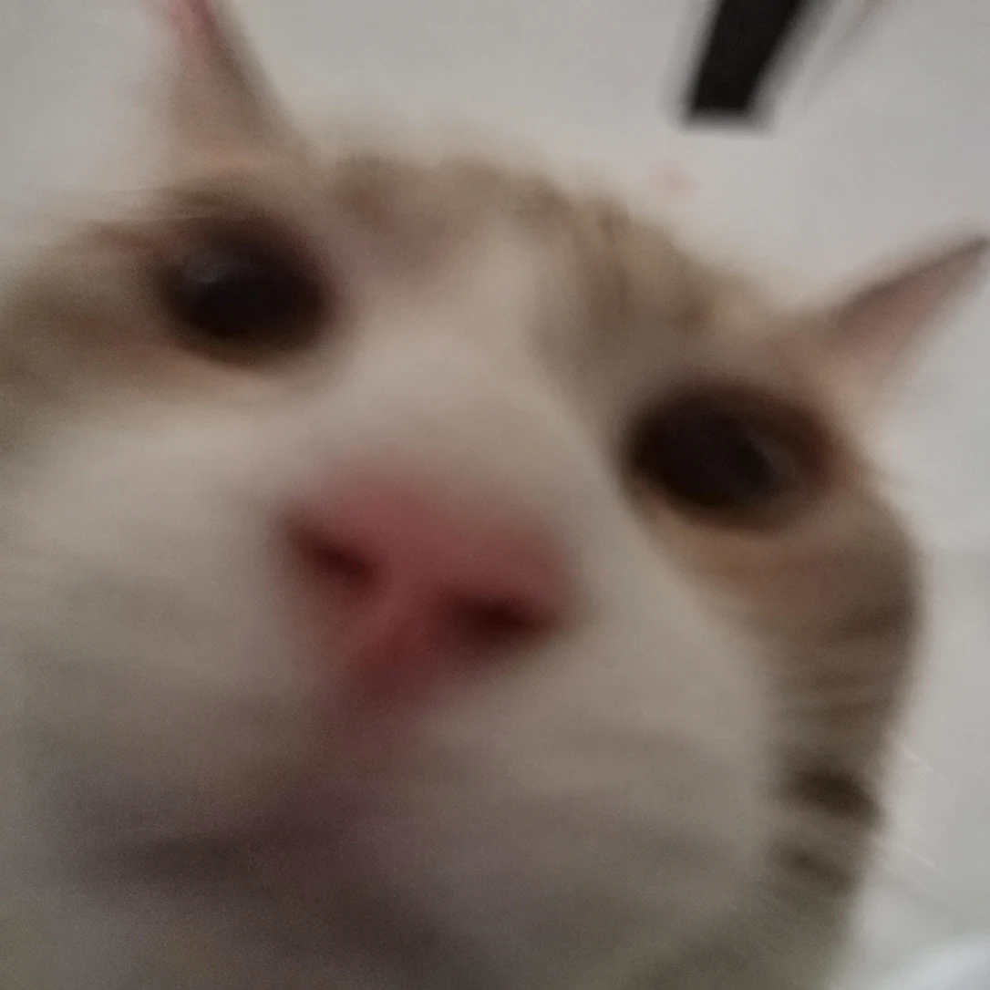 juh