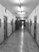 Detención de menores thumbnail