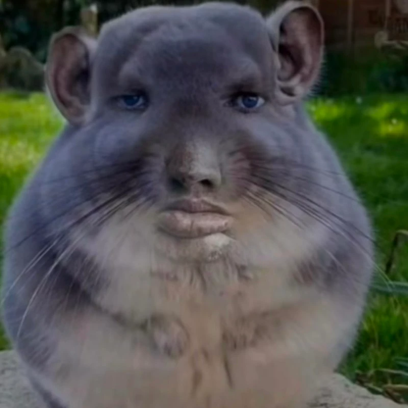 юмэ