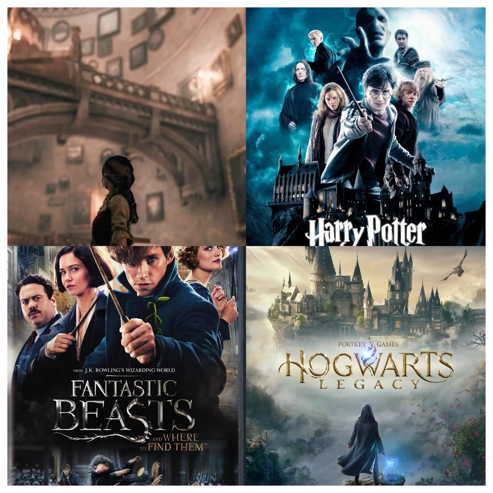 Hogwarts Legacy Harry Potter Fantastic Beasts thumbnail