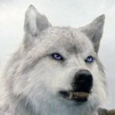 Kira