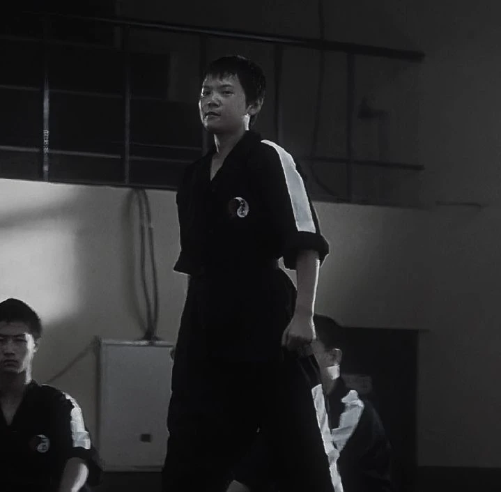 Cheng Luwei (Karate Kid 2010) thumbnail