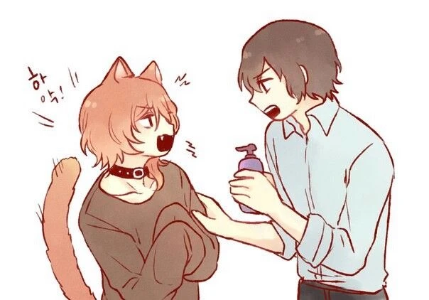 Dazai Osamu thumbnail