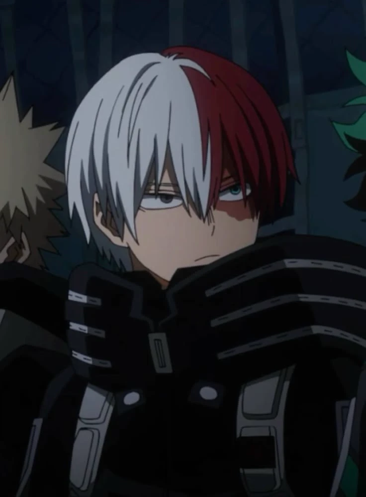 TODOROKI SHOTO thumbnail