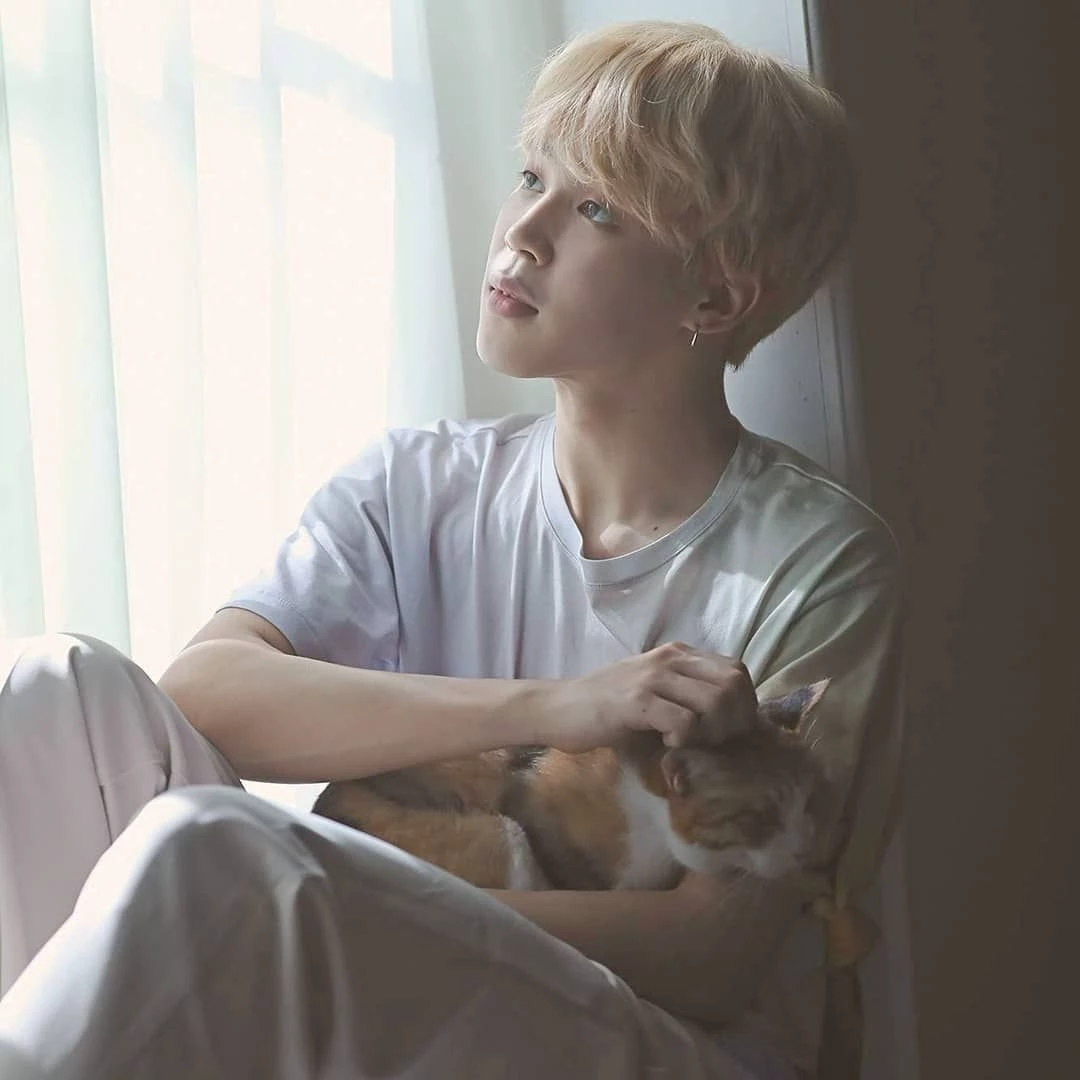 Park Jimin (My Jiminie 🐾) thumbnail