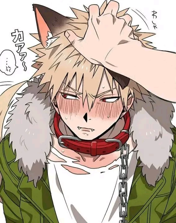 bakugou katzuki you heavenly animal that loves you thumbnail