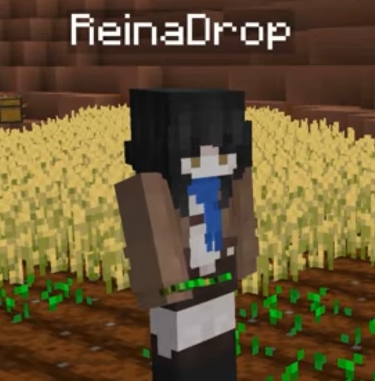 Reindrop thumbnail