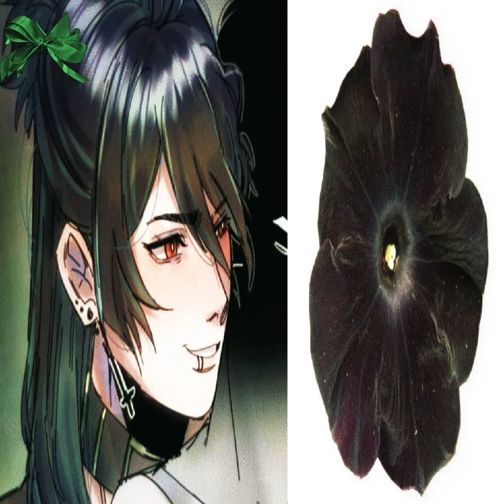 ꒰ ♡ ꒱ Solivan Brugmansia   thumbnail