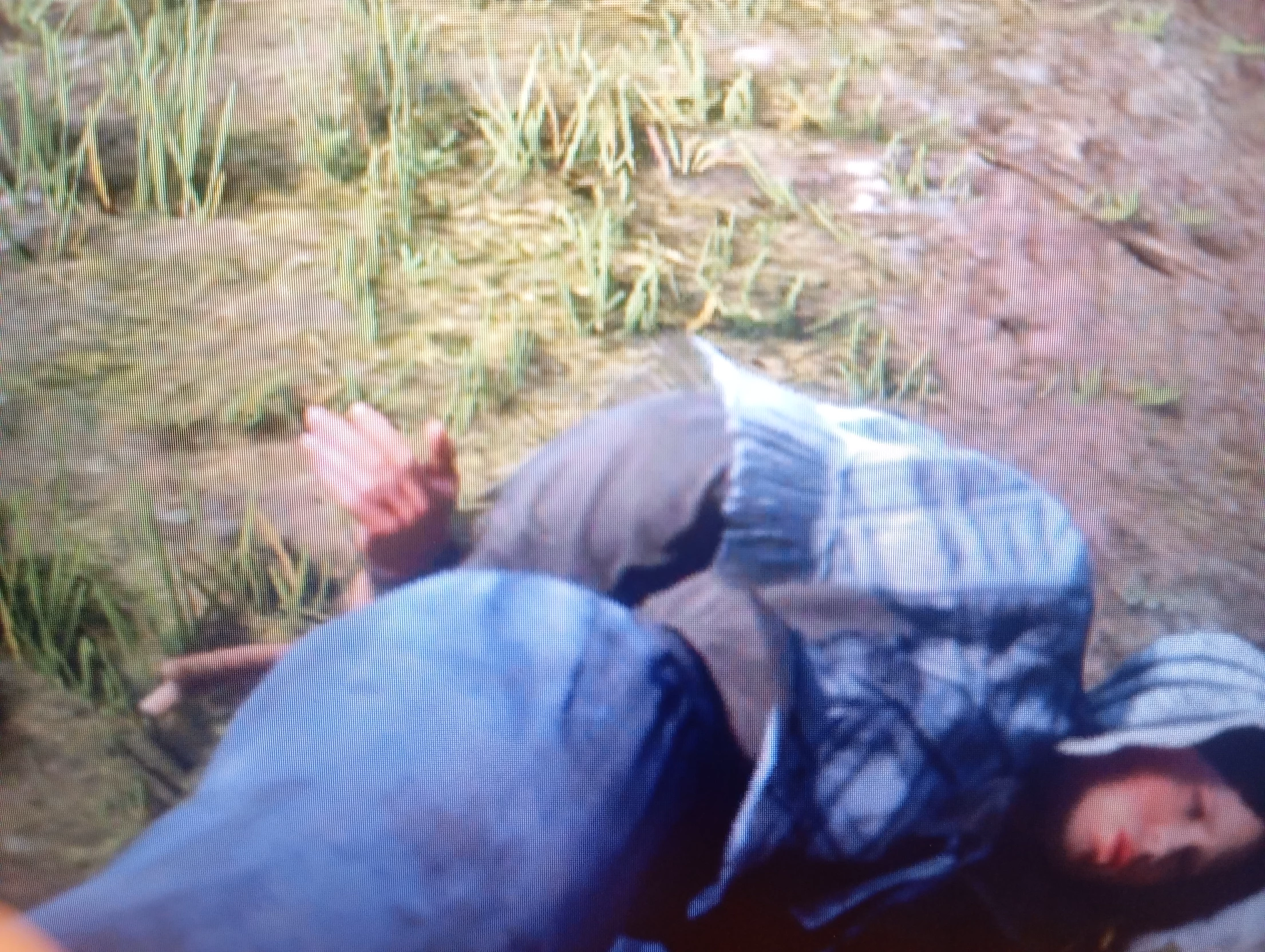 betas thumbnail