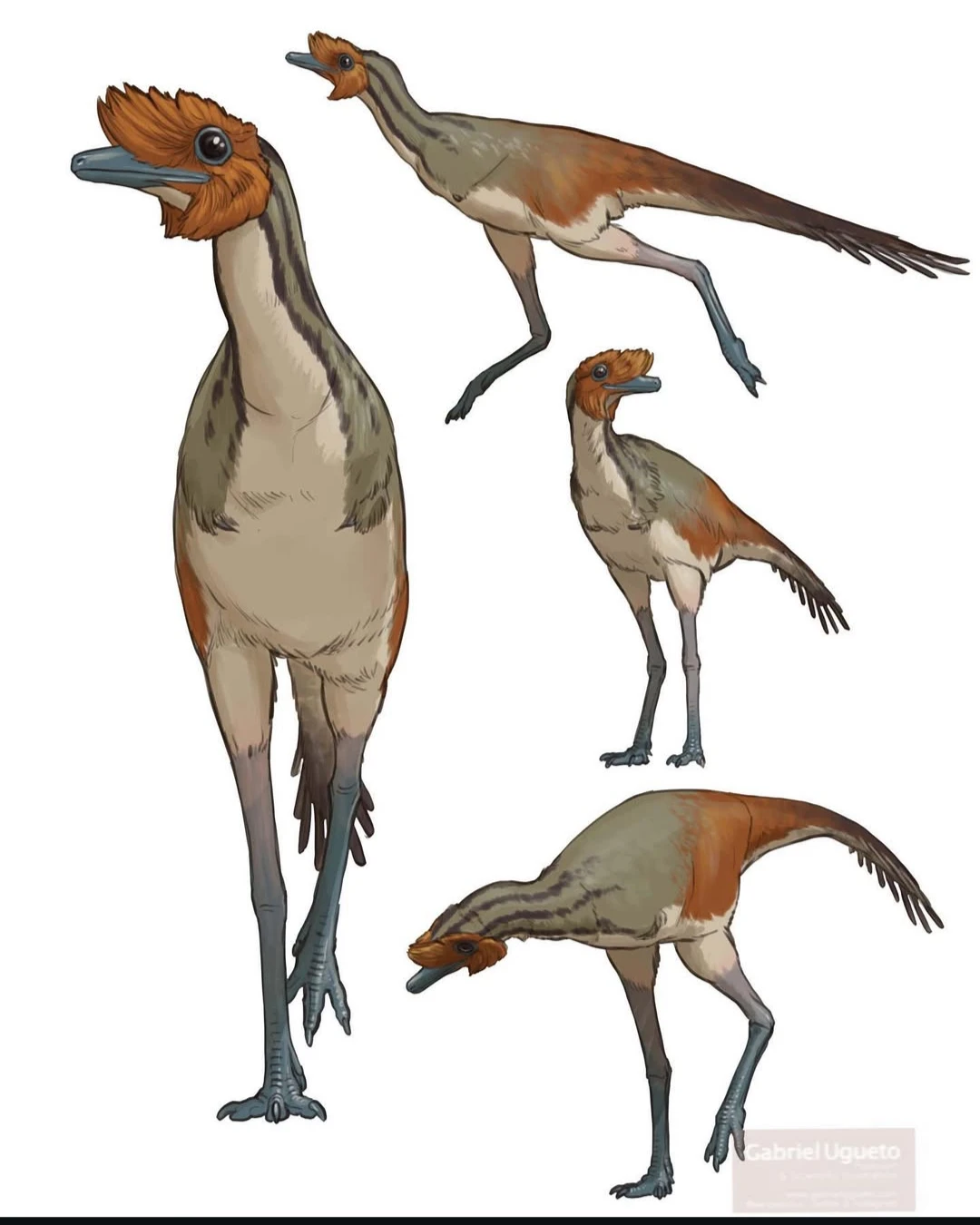 Free world so that you can be a prehistoric animal thumbnail