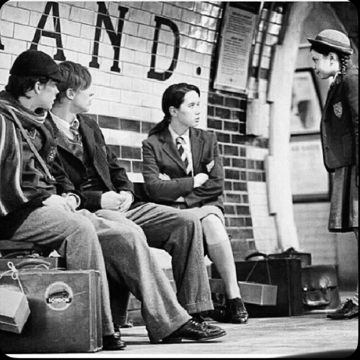 The pevensies thumbnail