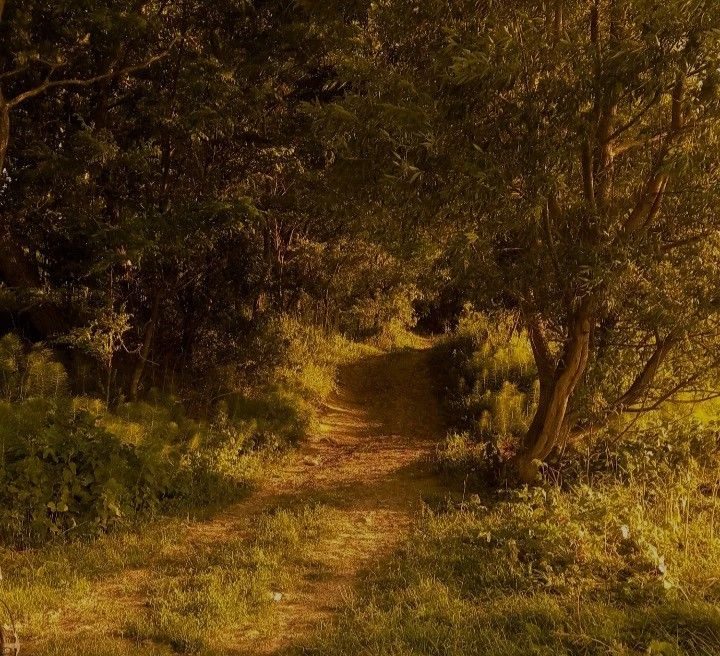 melancholic escape. thumbnail