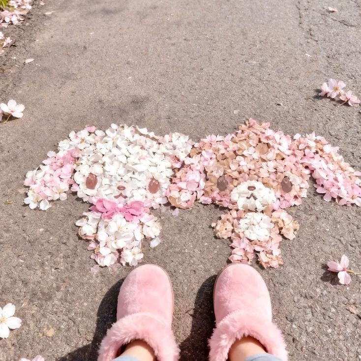 ୨𝐋ee 𝐒𝐮𝐡𝐨𝐤 ༄🪭
