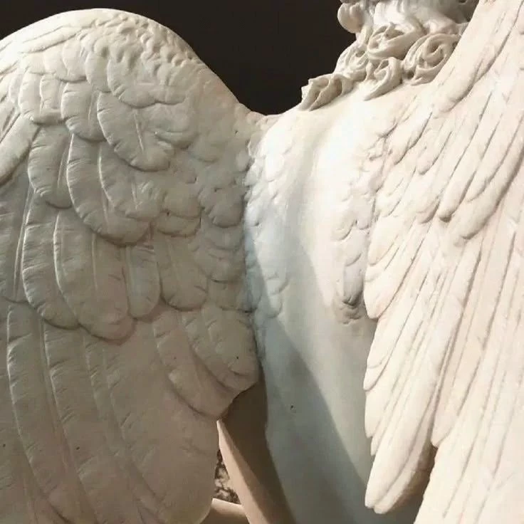 𐔌՞. .՞𐦯