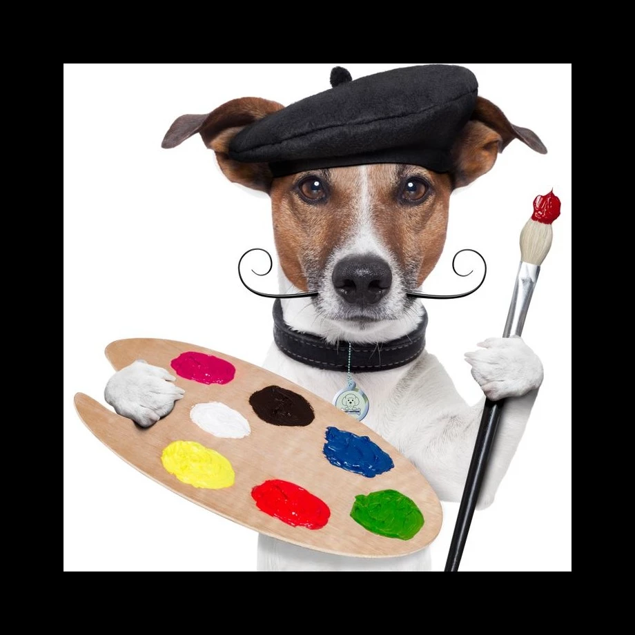 perrito artista
