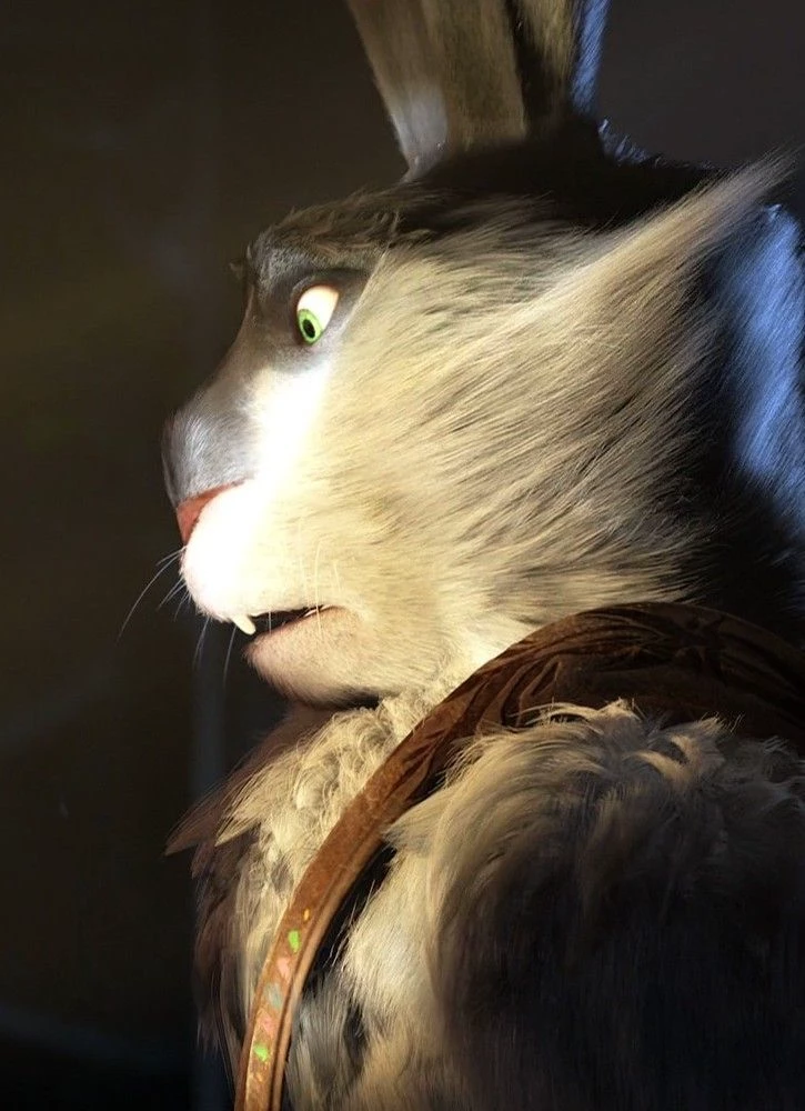 E Aster Bunnymund thumbnail