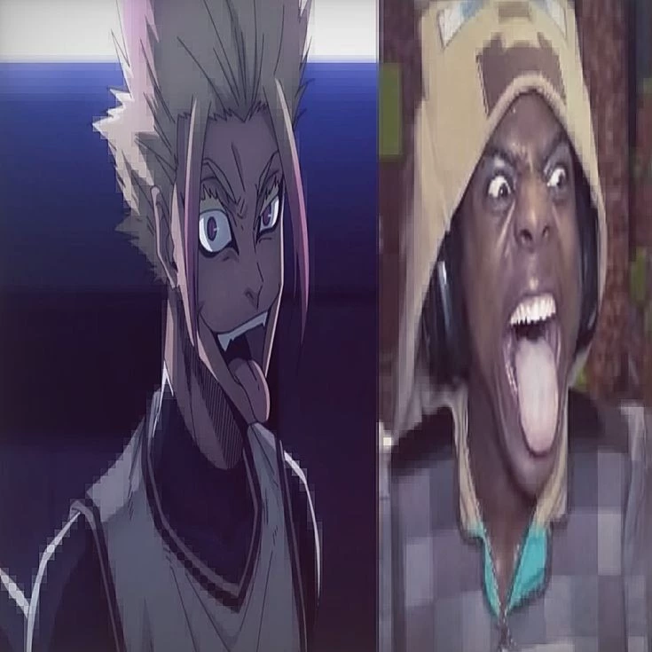 𝒴/𝒩