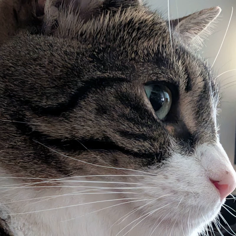 Sharly