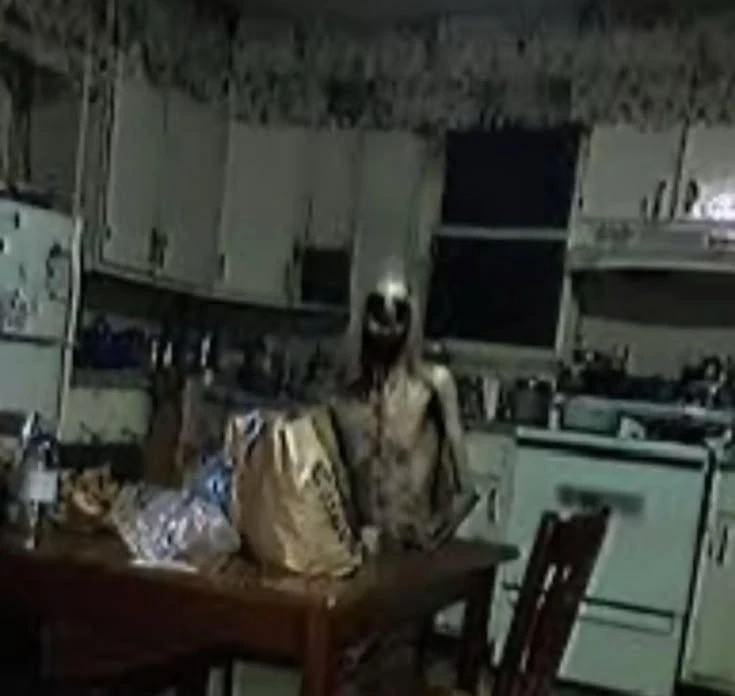 Something is in your kitchen (Analog horror) thumbnail