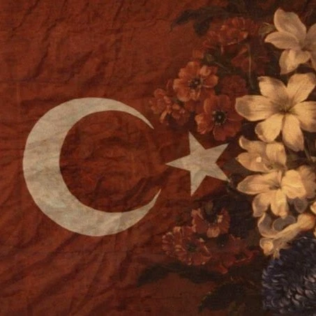 ꧁Turkiye𖦹˙୨ৎ⋆.˚༘˚