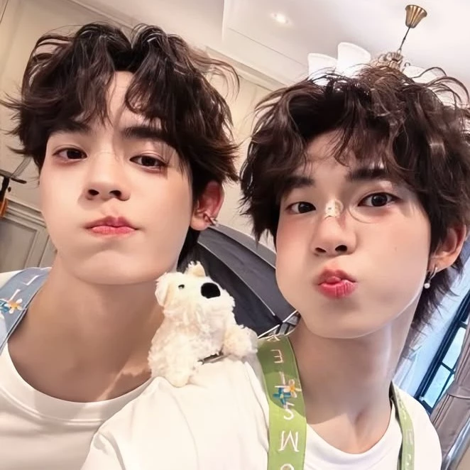 Anii