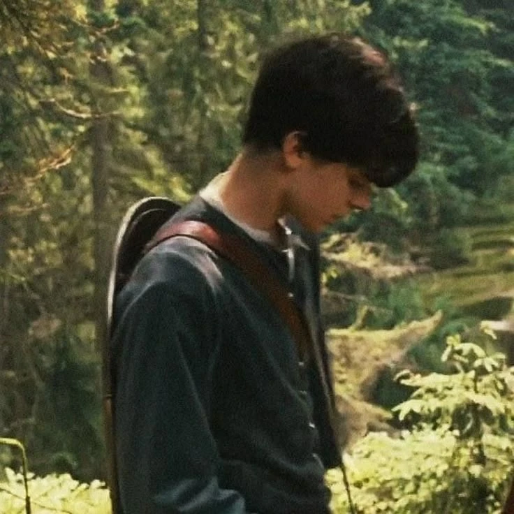 edmund Pevensie thumbnail