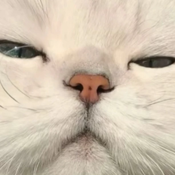 Dem