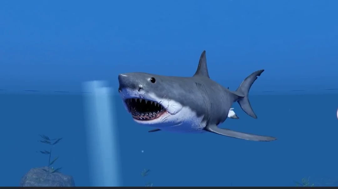 Bruce thumbnail