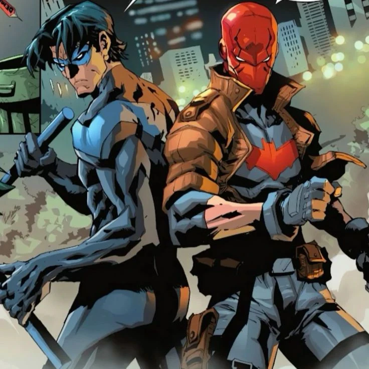 Nightwing and Red Hood thumbnail