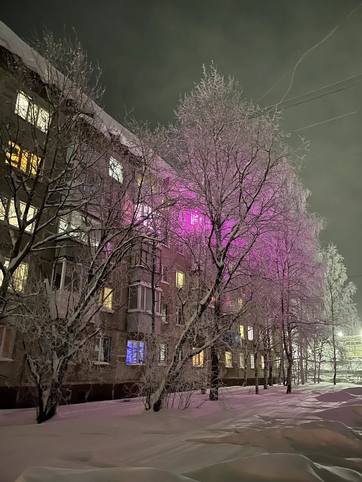 winter 2021 thumbnail