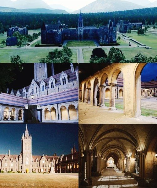 the vampire/wolf academy thumbnail