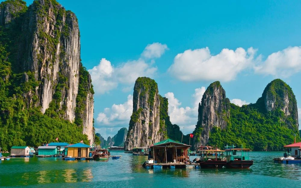 Nguyen Thi Mai thumbnail