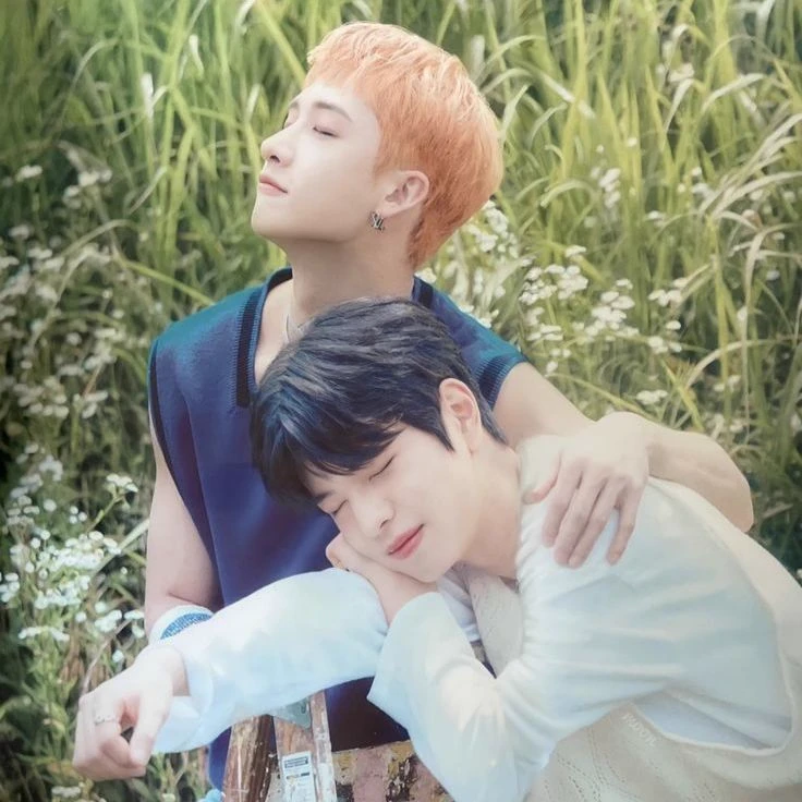 Chanmin (Bangchan×Seungmin)💞 thumbnail