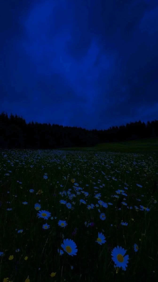 𝘖𝘮𝘦𝘨𝘢𝘷𝘦𝘳𝘴𝘦\-☆\- thumbnail