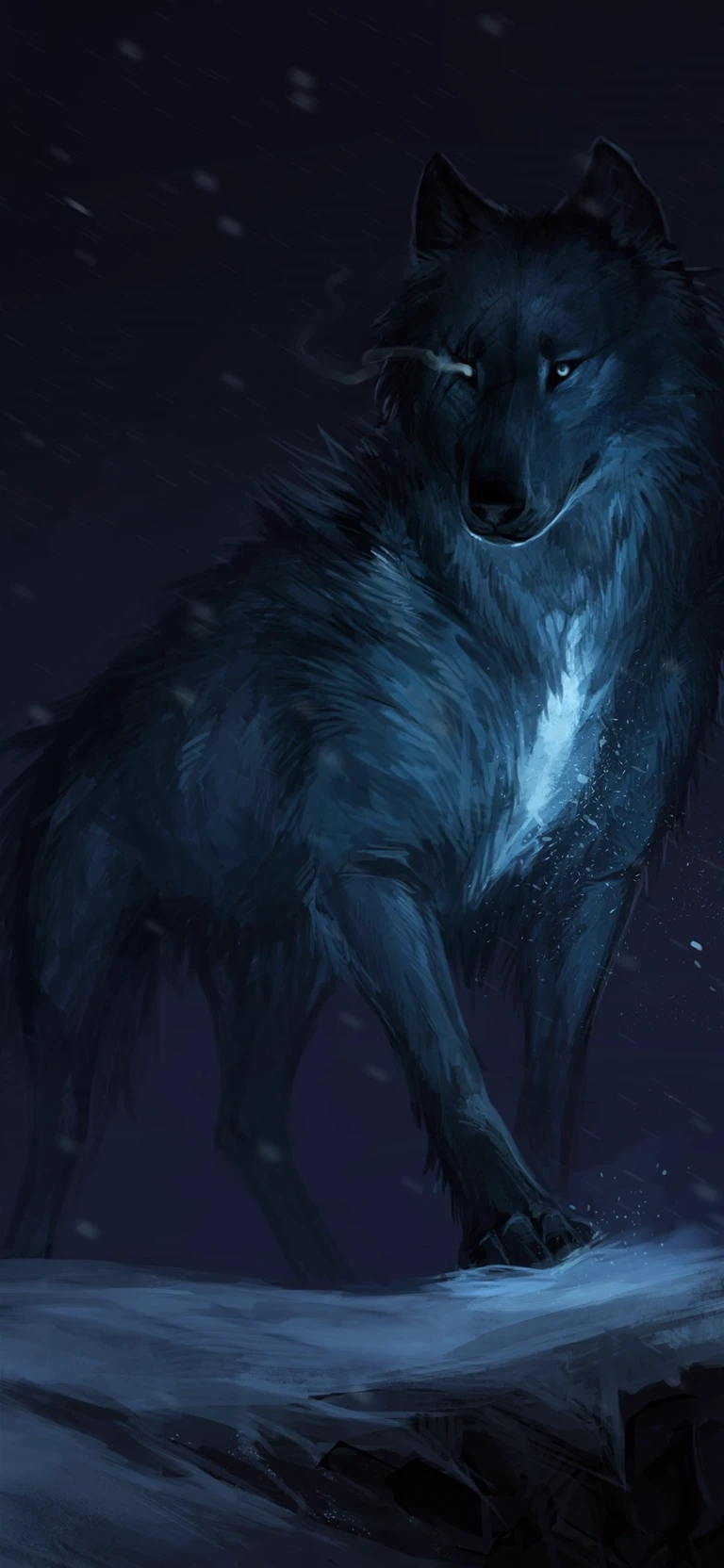 Ranga (Alpha wolf) thumbnail