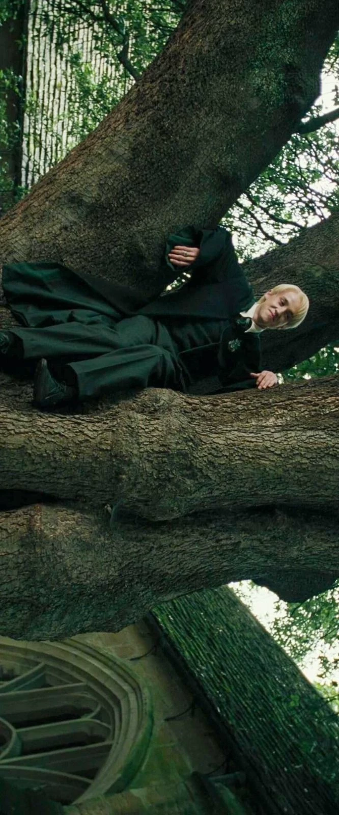 Draco Malfoy thumbnail