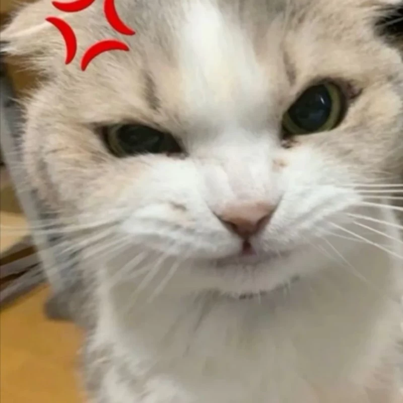 Niyu