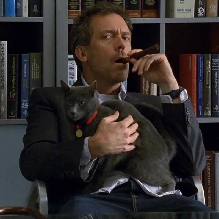 Dr House thumbnail