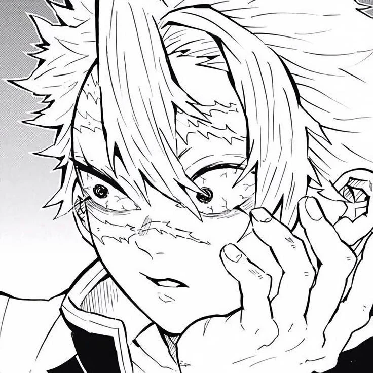 Shinazugawa Sanemi ; KNY thumbnail