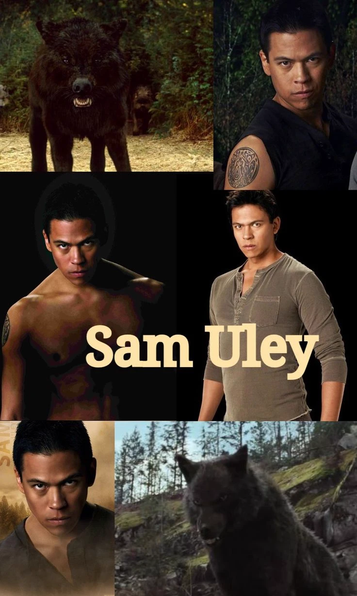 Sam Uley  thumbnail