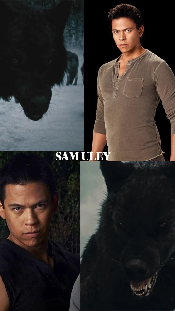 Sam Uley  thumbnail