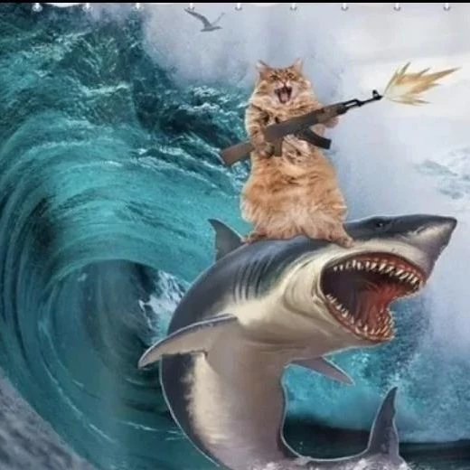 XD thumbnail