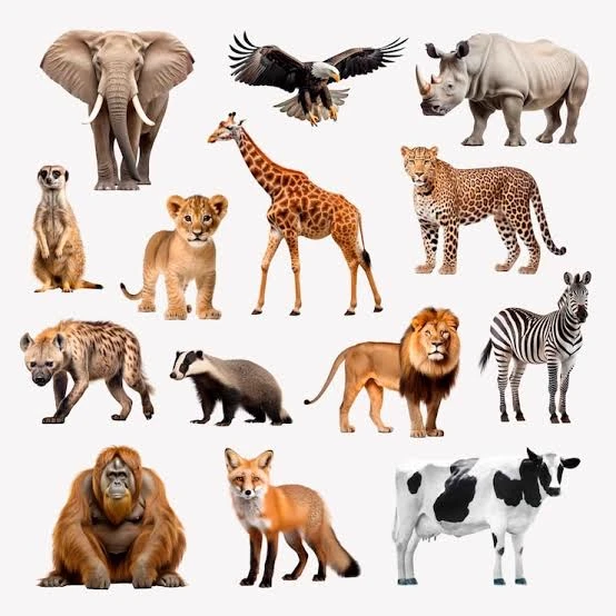 Create your story as an Animal thumbnail
