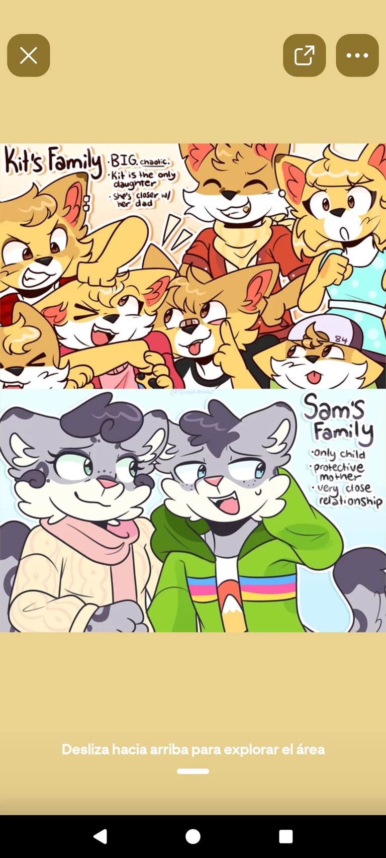sam y kit thumbnail