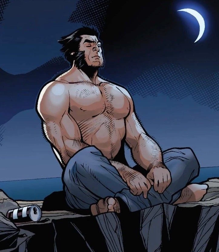 Logan - Wolverine thumbnail