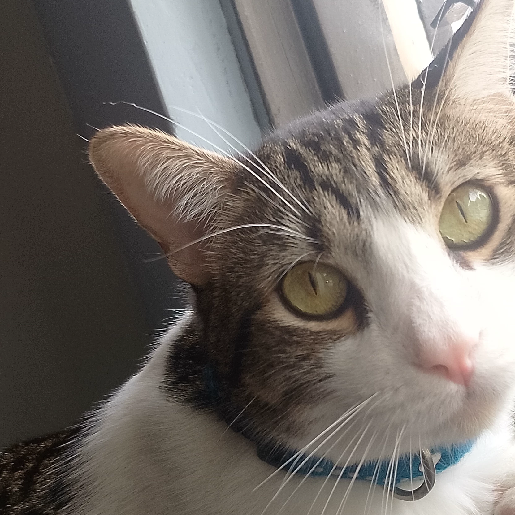 Max