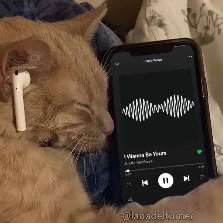 𓍯𓂃𓏧♡