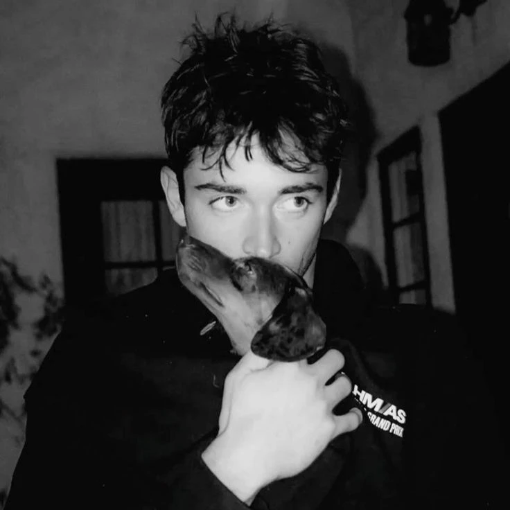 Charles Leclerc thumbnail