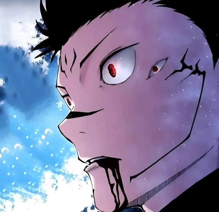 RYOMEN SUKUNA thumbnail